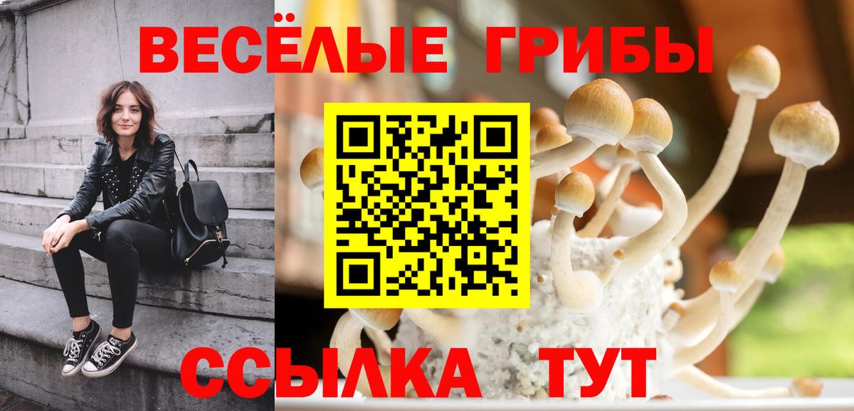 Галлюциногенные грибы MAGIC MUSHROOMS Черкесск